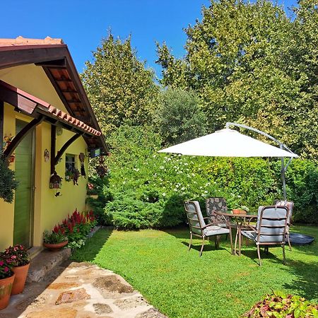 Quinta De Carcavelos Agroturismo E Enoturismo Селорику-ди-Башту Экстерьер фото