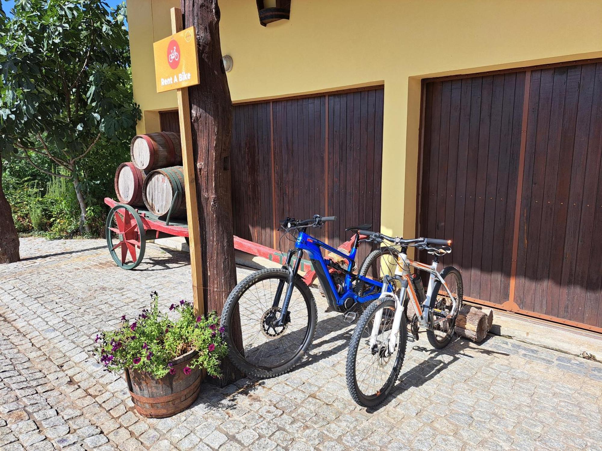 Quinta De Carcavelos Agroturismo E Enoturismo Селорику-ди-Башту Экстерьер фото